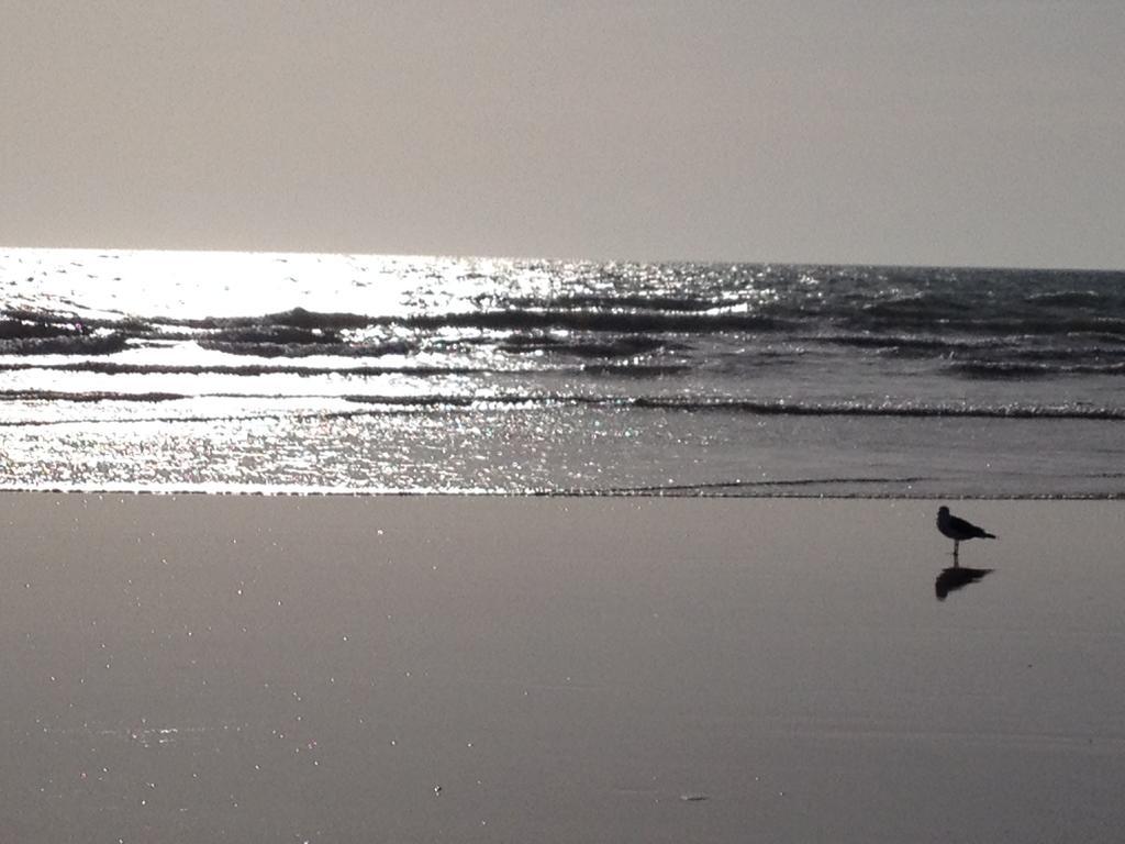 Vendee Vue Mer Saint-Hilaire-de-Riez Exteriör bild